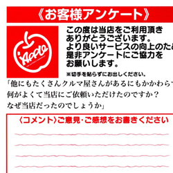 イタリアンチラシ